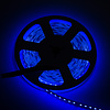 LEDStrip 5 meter RGB + 1800k - 6500k instelbaar 336 LED/m 24 Volt IP20