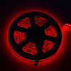 LEDStrip 10 meter RGB + 1800k - 6500k instelbaar 336 LED/m 24 Volt IP20