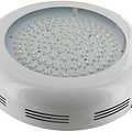 Dolphix LED kweeklamp UFO 90 Watt