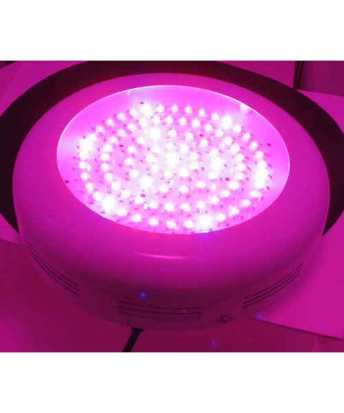 Dolphix LED kweeklamp UFO 90 Watt