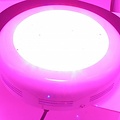 Dolphix LED kweeklamp UFO 90 Watt