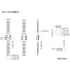 RGB ledstrip connector koppelstuk 4-aderig, verbinden zonder te solderen