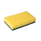 Schuurspons Pro 10x