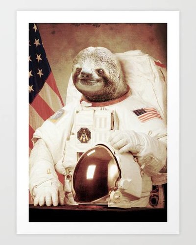 Sloth Astronaut