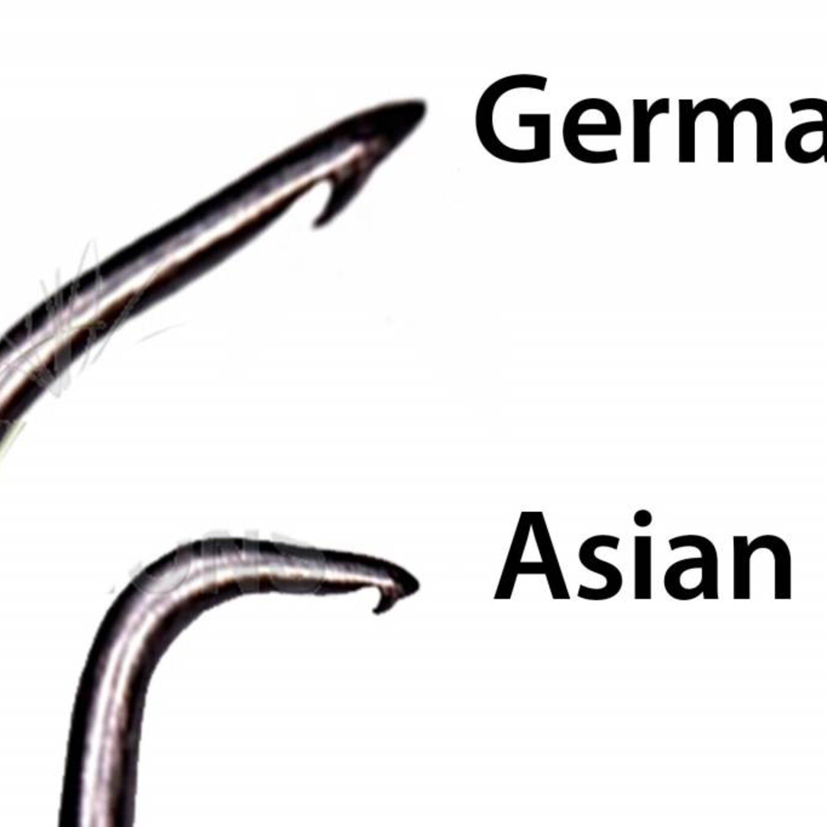 Knoopnaald (Aziatisch)