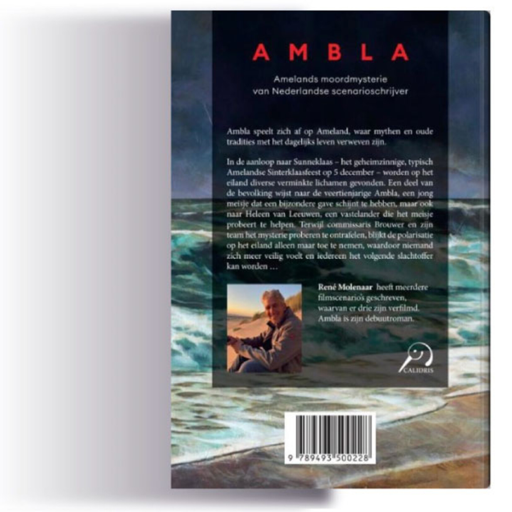 Ambla door René Molenaar