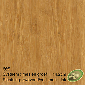 Bamboe Elite naturel DT gelakt
