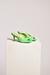 Toral Shoes verde Sandals