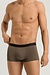 Hanro Camel Micro Touch Short