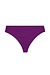 Antigel Purple La Chiquissima Bikini Slip