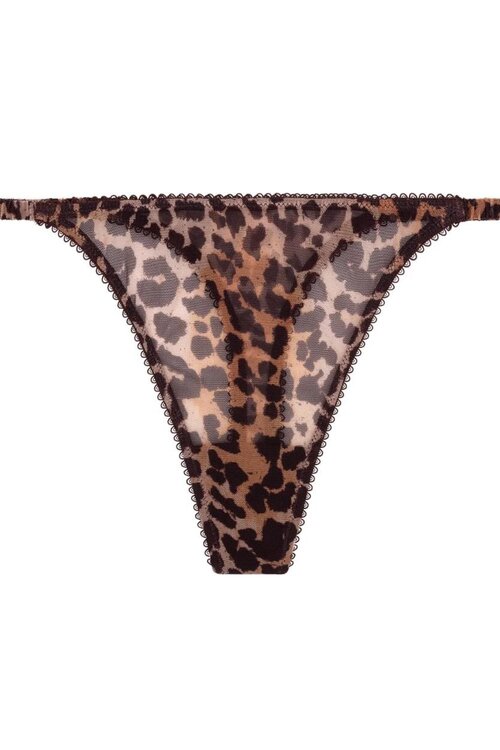 Love Stories Leopard String