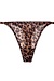 Love Stories Leopard String