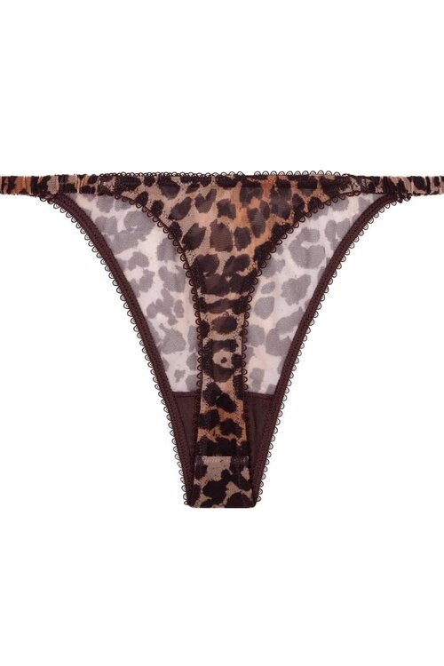 Love Stories Leopard String
