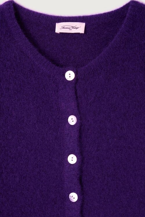 American Vintage Aubergine Vest