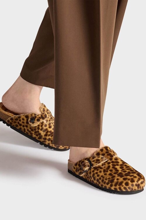 Scholl Diverse kleuren Fae New F