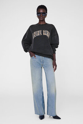 Anine Bing gekleurde Miles Sweatshirt Leopard