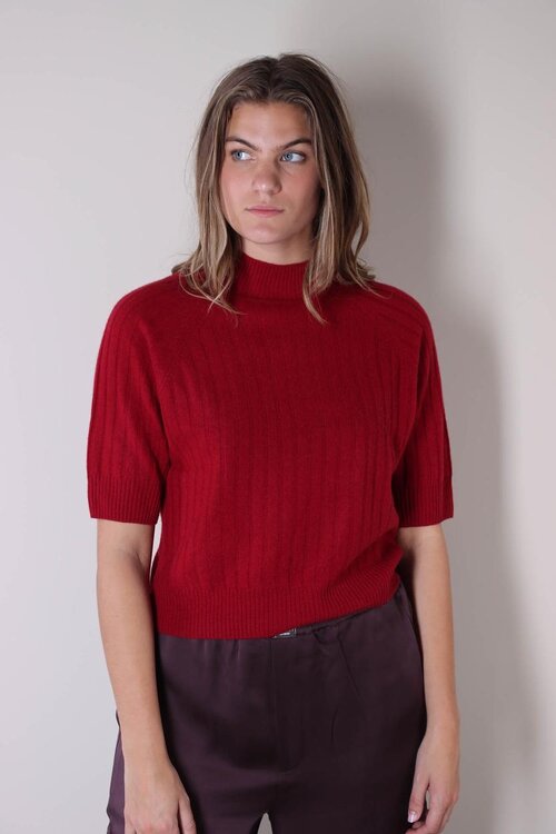 Absolut Cashmere Bordeaux Loana