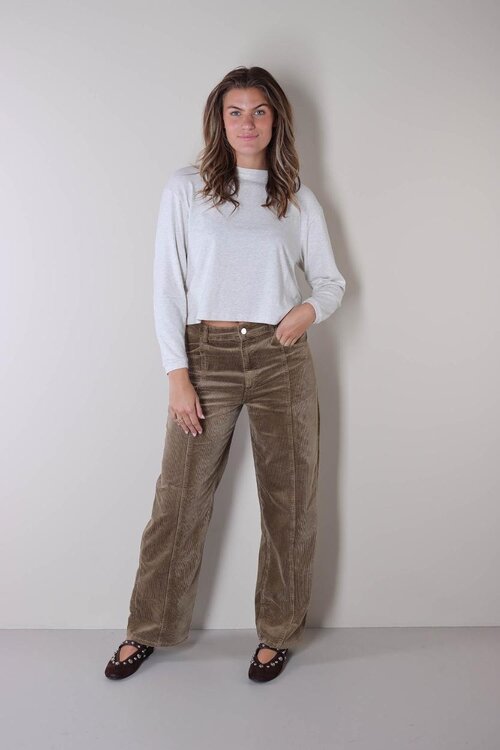 American Vintage Lichtgrijs T-shirt