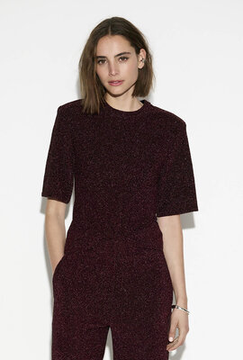 Dante 6 Paars Fantina Lurex Top