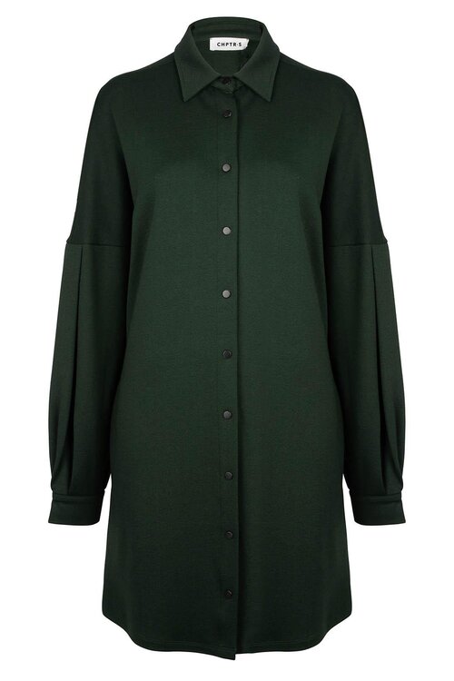 Chptr S Green Dress