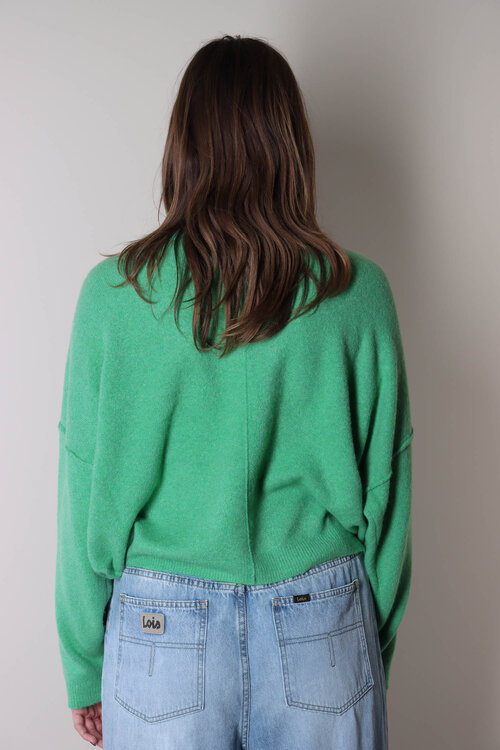 American Vintage Groene Trui