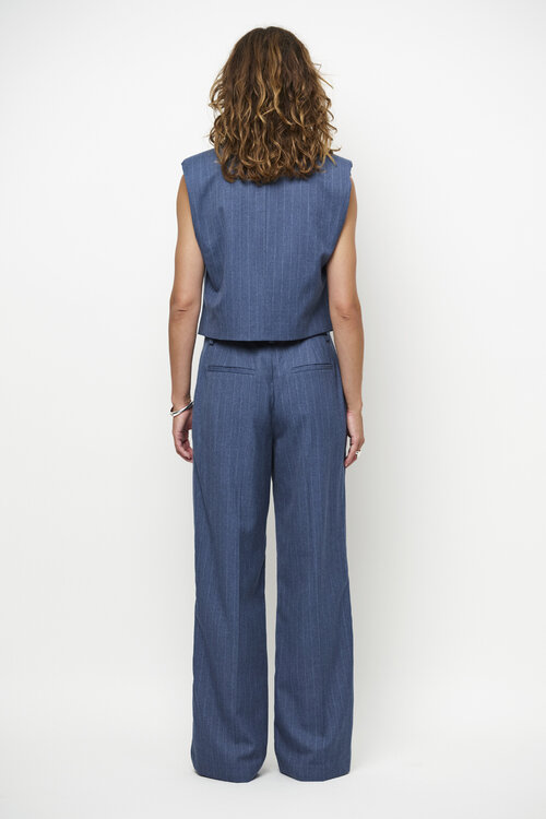 Dante 6 Donkerblauwe Alain Pinstripe Pants