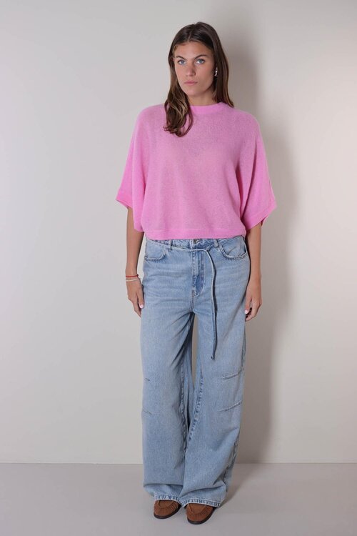 Absolut Cashmere Pink Benedicta trui