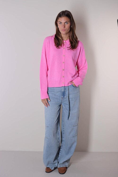 Absolut Cashmere Gebreide Trui