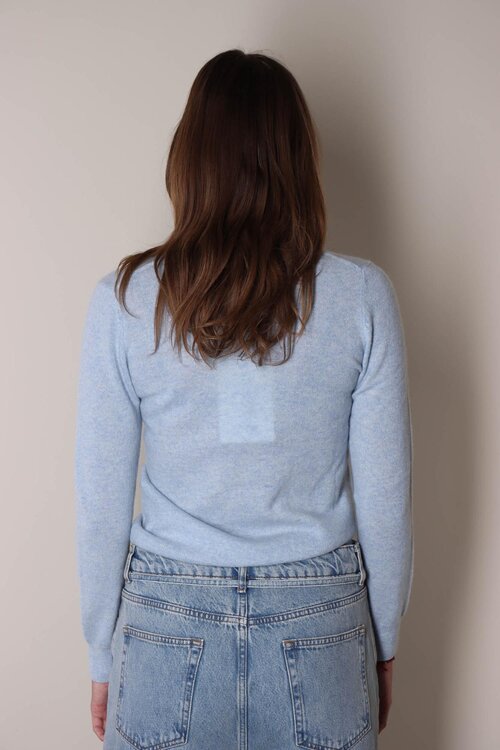 Absolut Cashmere Gebreide Trui