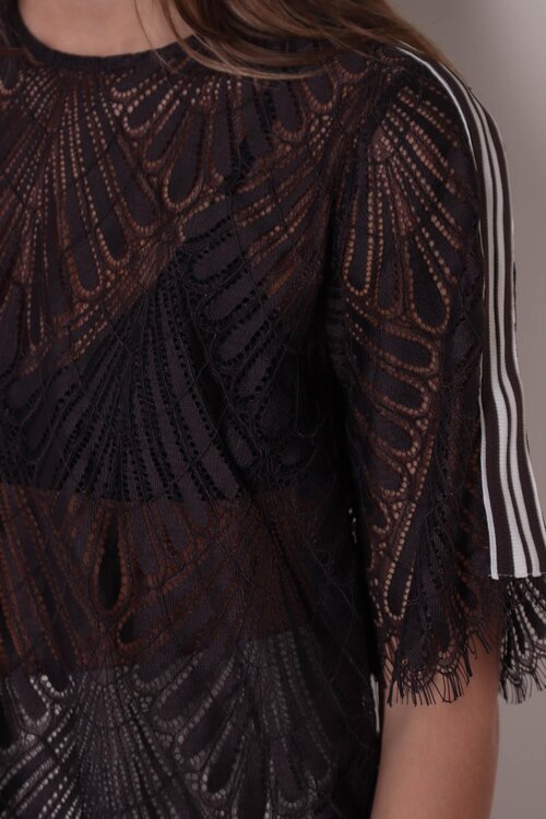 Co'couture Bruine Leti Lace Blouse