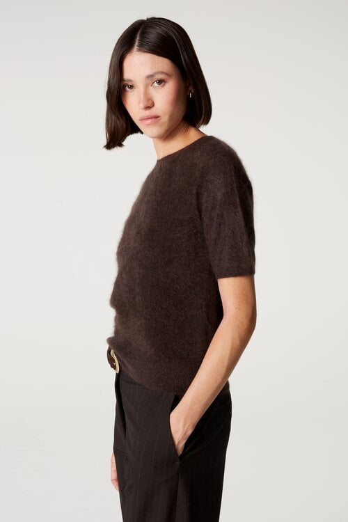 Absolut Cashmere Amaya korte mouw Trui Bruin