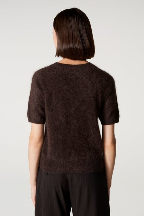 Absolut Cashmere Amaya korte mouw Trui Bruin
