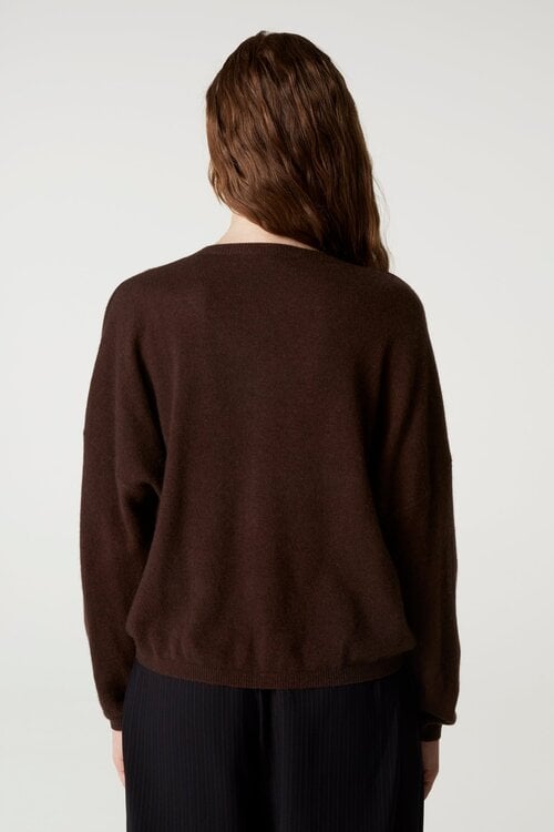 Absolut Cashmere Alicia Trui Bruin