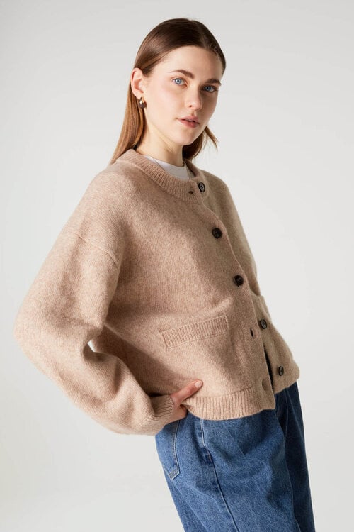 Absolut Cashmere Wendy Vest Beige