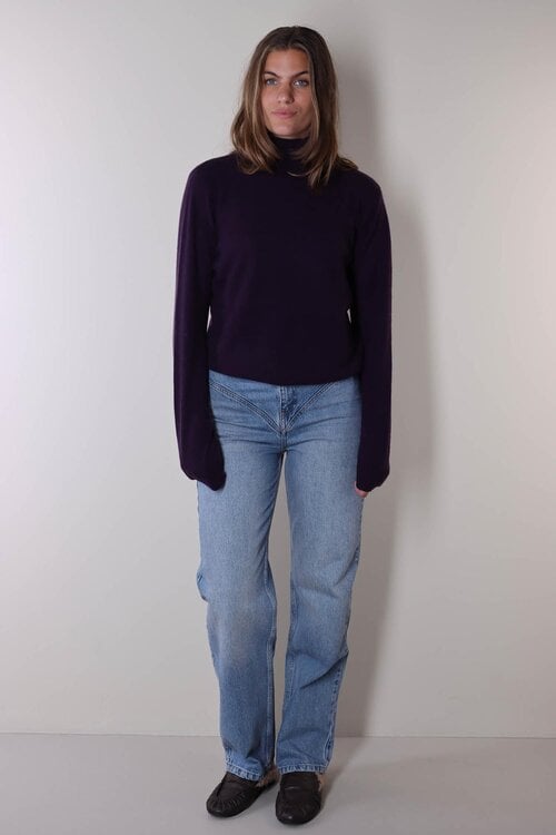 Absolut Cashmere Themys Trui Paars