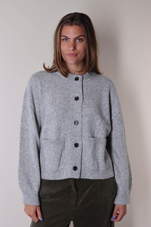 Absolut Cashmere Wendy Vest Grijs