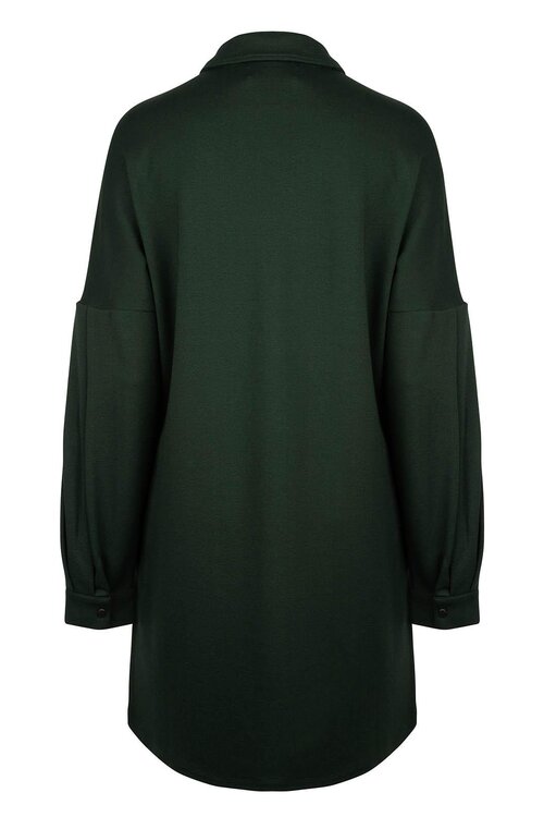 Chptr S Green Dress