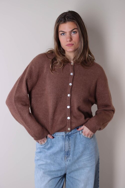American Vintage Bruine Gebreid Vest