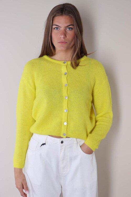 American Vintage Geel Vest