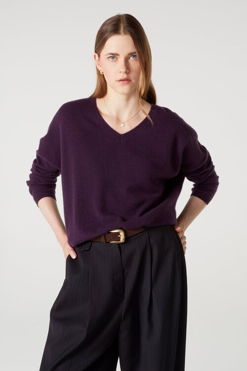 Absolut Cashmere Alicia Trui Paars
