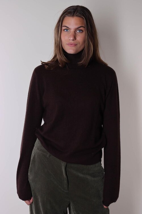 Absolut Cashmere Themys Trui Bruin