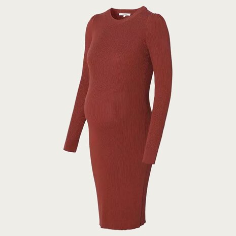 Noppies Zwangerschapsjurk Vena Sable Noppies Zwangerschapsjurk Vena Sable