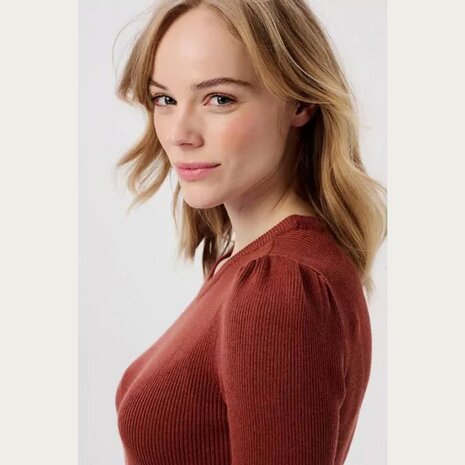 Noppies Zwangerschapsjurk Vena Sable Noppies Zwangerschapsjurk Vena Sable