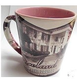 Mug Elvis In Car At Graceland