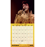 Calendar 2025 - Elvis Danilo Square