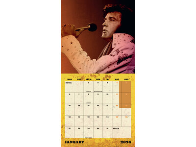 Kalender 2025 - Elvis Danilo Vierkant