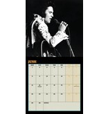 Calendar 2026 - Elvis Danilo Collector's Edition