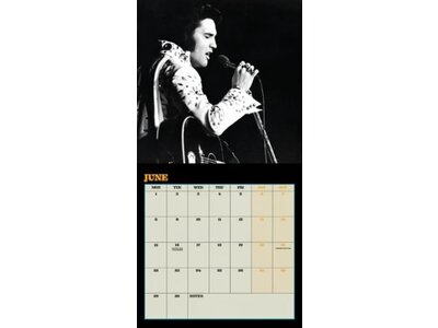 Calendar 2026 - Elvis Danilo Collector's Edition
