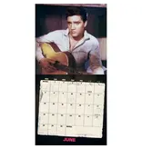 Kalender 2027 - Elvis Danilo Collector's Edition