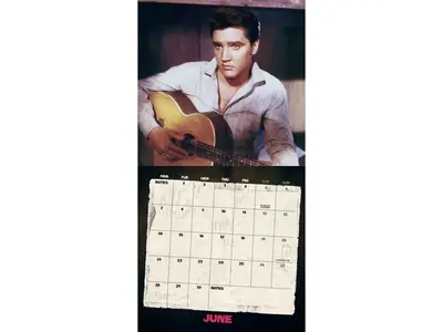 Calendar 2027 - Elvis Danilo Collector's Edition